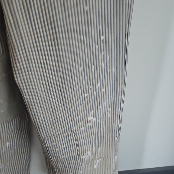 ●●WE THE FREE STRIPED PAINTERS OVERALLS NWOT SIZE L●● - Picture 11 of 12